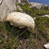 Monte Cornacchia – 12 Agosto 2012