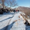 Monte Revole