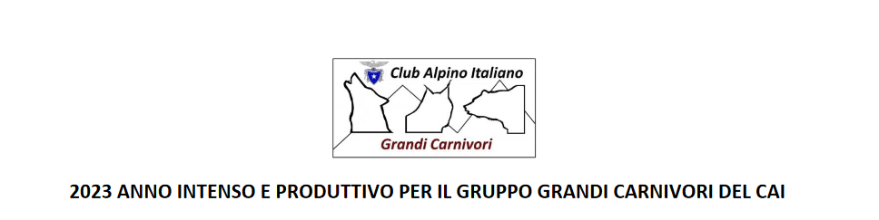 relazione2023gcc